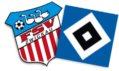 FSV Zwickau: Knappe Niederlage gegen den HSV